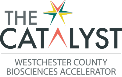 The-Catalyst-WCBAccelerator-2x